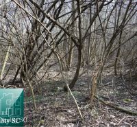 Forest cover on the land - housing in the Old Port Gabčíkovo, suitable for modification.
