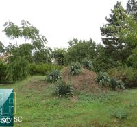 A garden with lush vegetation and a hill near a family house on Kráľová Street in Senec - Záhumenská.