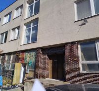 Building on Staviteľská, Warehouses and Halls, Bratislava III with parking lot.