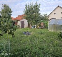 The garden of a family house in the village of Tureň with various trees and a greenhouse.