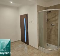 Interior of a commercial space with tiling and a shower corner.