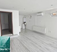 Commercial premises with wood decor flooring, air conditioning and boiler, room with radiator.