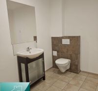 Bathroom commercial spaces with a sink and wall-hung toilet, light walls, tiles.