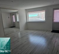Bright commercial space with wood-patterned flooring and a large mirror.