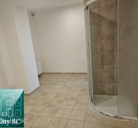 Tiling and shower corner in commercial premises with neutral walls.