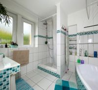 A bathroom in a 2-room apartment with a shower and a bathtub, tiled with mosaic tiles.