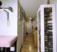 A hallway in a 2-room apartment with a showcase full of model cars and a floor with a wooden decor.