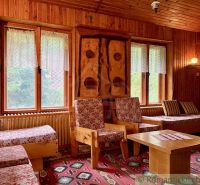The interior of the cabin with wooden paneling, retro furniture, and a colorful carpet.