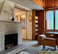 A cabin with a fireplace, wooden walls, and a large window, floor with a wooden decor.