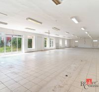 Spacious commercial spaces with tiling and large windows for maximum illumination.