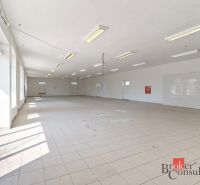 Spacious commercial space with tiles and large windows for rent.