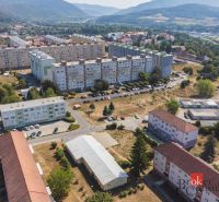 Žiar nad Hronom, Š. Moysesa: Apartment buildings and a housing estate surrounded by greenery and garages.