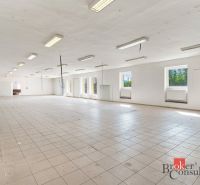 Spacious commercial spaces with windows and tiles await renovation.