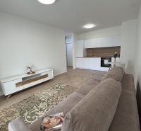Living room in a studio apartment with a kitchenette and a wooden decor floor.