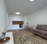 Living room with kitchen, sofa, and wooden decor flooring in a studio apartment.
