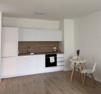 Kitchen area in a studio apartment with a white kitchen unit and a floor with a wood decor.