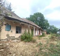 An old neglected family house in Mikušovce surrounded by vegetation and dry grass.