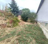 Garden at a family house in Mikušovce with grass cover and trees.