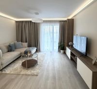 Living room in a two-room apartment with a wooden decor floor, a sofa, and a television.