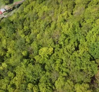 Aerial view of forest stands and landscape around the village of Župkov.
