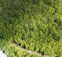 An aerial view of forest lands in Župkov, where there are dense tree canopies.