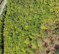 Aerial view of agricultural and forest lands in Župkov with green vegetation.