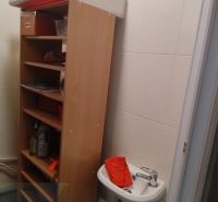 A small sink with a cabinet and cleaning products in the office.
