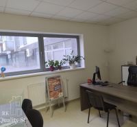 Offices with a desk, chairs, and plants on the windowsill in Senec.