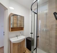 Bathroom with a sink, shower corner, and furniture with a wooden decor in a 3-room apartment.