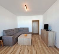 Living room in a three-room apartment with a sofa and a wooden decor floor.