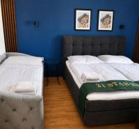 Bedroom with a double bed, blue wall, and wood-patterned floor.