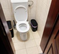 A toilet with a white ceramic bowl and tiles in a family house.