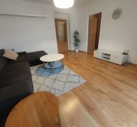 Living room in a two-room apartment with a couch and wooden decor flooring.