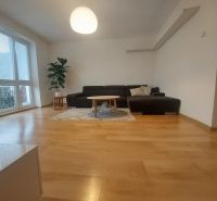 Living room in a two-room apartment with a wooden decor floor and a sofa bed.