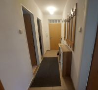 The entrance hall in a 2-room apartment with a hanging coat rack and a floor with a wood decor.