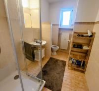 Bathroom in a 2-room apartment with a glass shower, sink, and shelf.