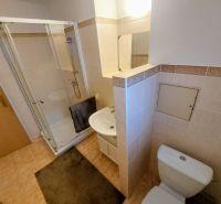 Bathroom with a shower and a sink in a 2-room apartment.