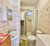 Bathroom with tiles, shower, sink, washing machine, and toilet in a family house.