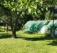 A garden near the cottage in Lutila with a lawn, trees, and a large greenhouse.