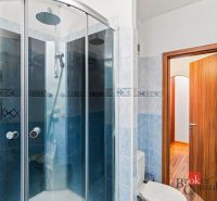 A bathroom with blue tiles, a shower corner, and a mirror in a 2-room apartment.
