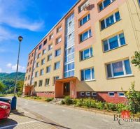 Apartment building on Generála Svobodu Street in Zvolen with parking and greenery.