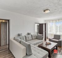 Living room in a 2-room apartment with a sofa and wooden decor flooring.