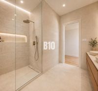 A bathroom in a family house with a sliding shower enclosure, sinks, and a plant.