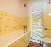 A bathroom in a family house with a bathtub, yellow tiles, and a ladder radiator.