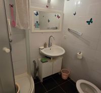 Bathroom in a 3-room apartment with a toilet, shower, and mirror with decorations.