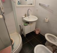 A bathroom in a 3-room apartment with a shower, sink, and toilet.