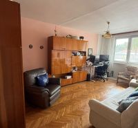 Interior of a 3-room apartment with a sofa, armchair, furniture, and a window. Floor with wood decor.