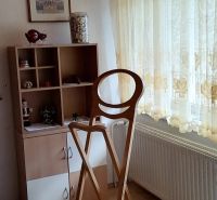 Interior of a family house with a wooden decor floor, a shelf, and a high chair.