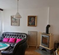 Living room in a family house with a fireplace, leather sofa, and wooden decor flooring.