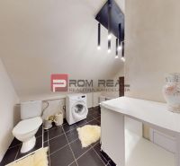 A bathroom in a 5 or more room apartment with a sloped ceiling and black tiles.